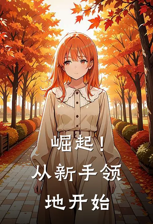 崛起！从新手领地开始