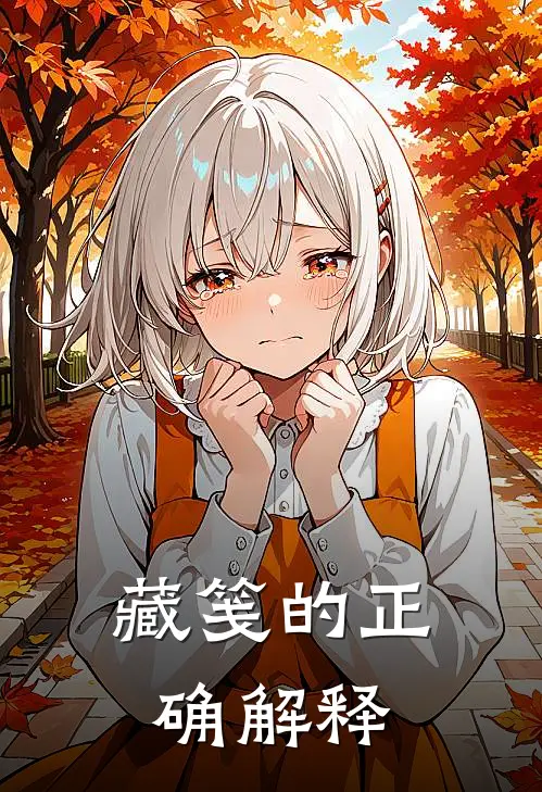 藏笺的正确解释