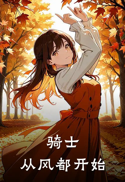 骑士：从风都开始